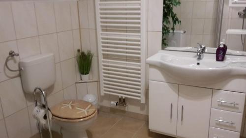 uma casa de banho branca com um WC e um lavatório em Haus zur Sonne em Flöha