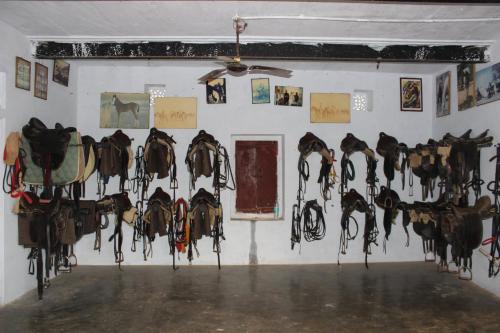 Imagen de la galería de Dundlod Fort, en Dundlodh