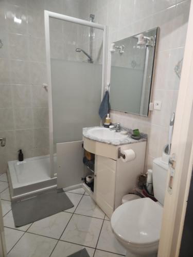 La salle de bains est pourvue de toilettes, d'un lavabo et d'une douche. dans l'établissement Ô ptit gîte d'Ogenne, à Ogenne-Camptort