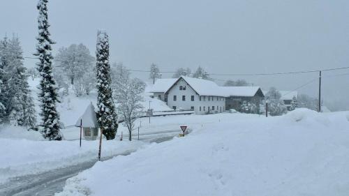 a house covered in snow next to a road at Haus Tilia Karinthië Appartementen in Nötsch