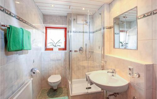 a bathroom with a sink and a toilet and a shower at Cozy Apartment In Kirchberg With Kitchen in Kirchberg in Tirol