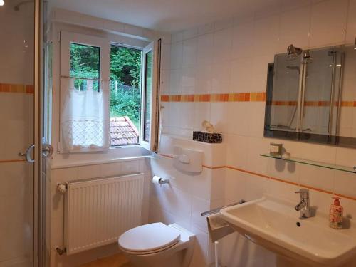 ein Bad mit einem WC, einem Waschbecken und einem Fenster in der Unterkunft Sonnwies - Erholung pur im Bayerischen Wald in Perlesreut