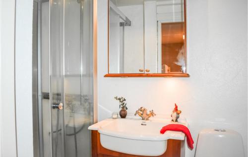 斯塔德的住宿－1 Bedroom Amazing Apartment In Ystad，一间带水槽和镜子的浴室