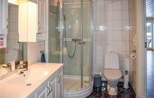 a bathroom with a shower and a toilet and a sink at Nice Home In Drangedal With Wifi in Drangedal