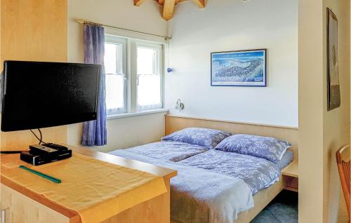 1 dormitorio con 1 cama y escritorio con TV en Gorgeous Apartment In Ausserbraz With Kitchen, en Ausserbraz