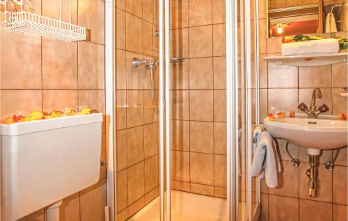 a bathroom with a shower and a sink at 1 Bedroom Beautiful Apartment In Kirchberg in Kirchberg in Tirol