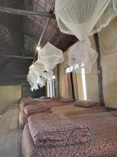 a row of beds in a room with curtains at ห้องนอนรวม in Ban Tham