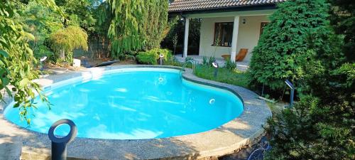a swimming pool in front of a house at Evie's Tree House in Dragomirna
