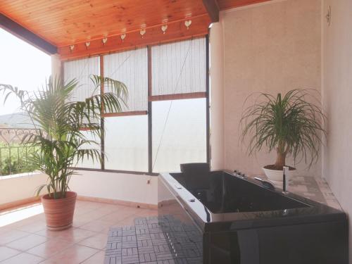 蒙布蘭萊班的住宿－Studio Walla Confort Centre，一间拥有两盆植物和大窗户的房间