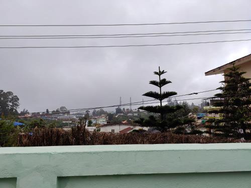 a pine tree sitting on top of a white wall at Yaal HomeStay in Kodaikānāl