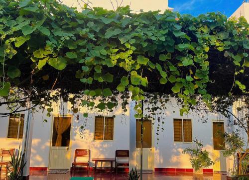 a white building with a bunch of green leaves at Mai Anh Homestay Long Hải in Long Hai