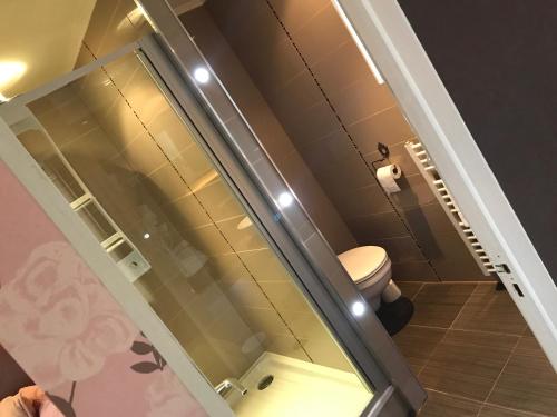 La salle de bains est pourvue d'une douche et de toilettes. dans l'établissement Le Cosy Hotel Restaurant, à Bouillon