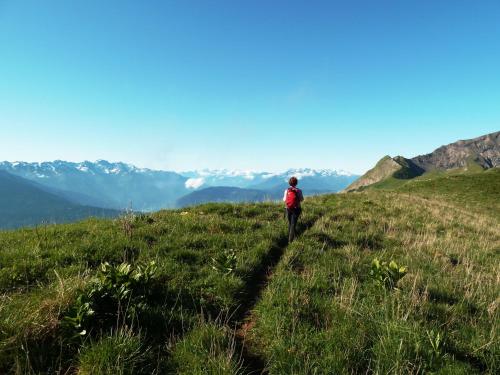 a person walking on a grassy hill with mountains in the background at Gite des Sources d'Arvey in Verrens-Arvey