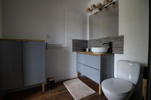 a bathroom with a toilet and a sink at Gîte 21 route de saumur in Parnay