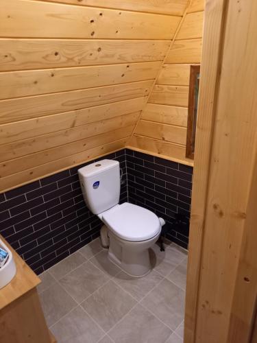 a bathroom with a toilet in a wooden cabin at Dacza Zakątek in Falsztyn