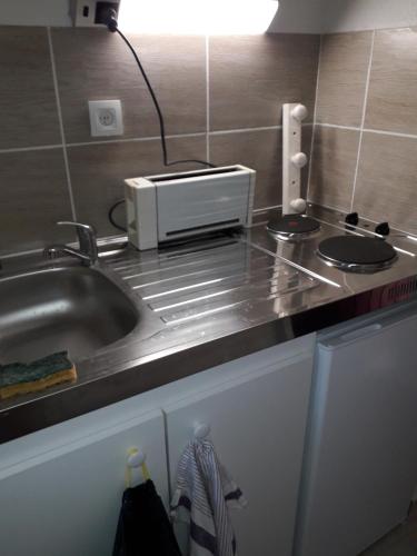 un comptoir de cuisine avec un évier et un micro-ondes dans l'établissement Studio 007 à Aix, à Aix-en-Provence