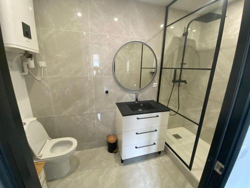 une salle de bain avec toilettes, lavabo et miroir dans l'établissement L'Escapade avec salle de sport, à Amiens