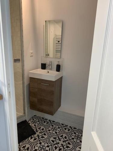 une salle de bain avec un lavabo et un miroir dans l'établissement Studio Cosy à 12 min à pieds de la Gare, à Limoges