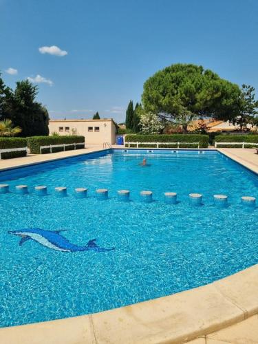 - une grande piscine avec un dauphin dans l'établissement les salines, à Vic-la-Gardiole