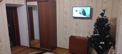 una sala de estar con un árbol de Navidad y un espejo en Holiday Home u Tetiany, en Kamianets-Podilskyi