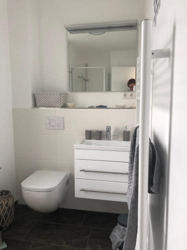 Un baño con inodoro, lavabo y espejo. en Schwimmendes Ferienhaus Heimathafen, en Großenbrode