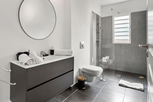 ein Badezimmer mit einem Waschbecken, einem WC und einem Spiegel in der Unterkunft Le Cosmopolitain_ Appart 4/5p terrasse piscine in Cul de Sac