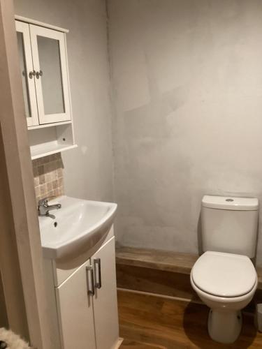 Łazienka z białą toaletą i umywalką w obiekcie Barn 5 w mieście Vigo Village