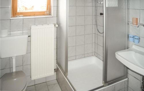 a bathroom with a shower and a toilet and a sink at Nice Apartment In Ehrwald With 2 Bedrooms And Wifi in Ehrwald