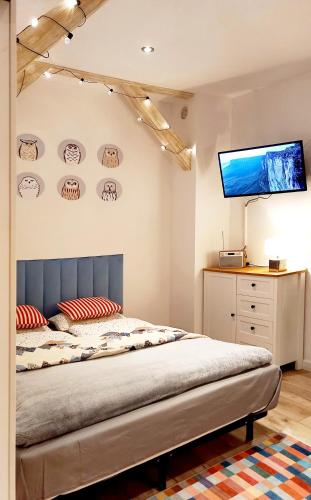 a bedroom with a bed and a flat screen tv at miniSowa in Jedlina-Zdrój