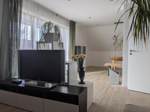 a living room with a flat screen tv on a entertainment center at Ferienwohnung gemütlich modern in Langenzenn