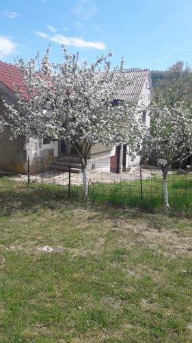 Φυσικό τοπίο κοντά σε αυτή η παραθεριστική κατοικία