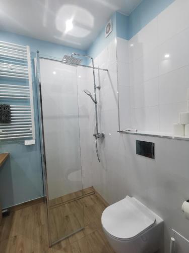 uma casa de banho com uma cabina de duche em vidro e um WC. em Apartament SKALNIAK em Kudowa-Zdrój