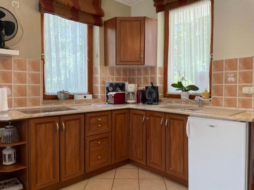 a kitchen with wooden cabinets and a counter top at Appartement Kastelo Teraso in Zalacsány