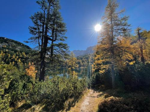 a view of a lake with the sun behind trees at Gästezimmer Peterbauer in Dorfgastein