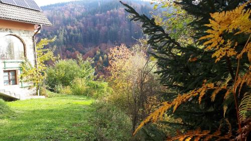 a view of the mountains from a house at Country House & Spa in Mislinja