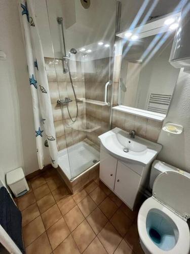 a bathroom with a shower and a toilet and a sink at Studio agréable de 21m2 in Balaruc-les-Bains