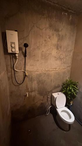 a bathroom with a toilet and a plant on the wall at Lionfish Backpackers Hostel Malapascua in Daanbantayan