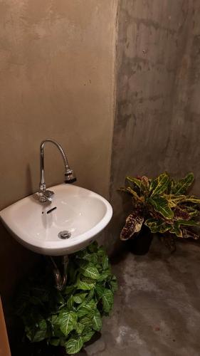 a white sink in a room with some plants at Lionfish Backpackers Hostel Malapascua in Daanbantayan