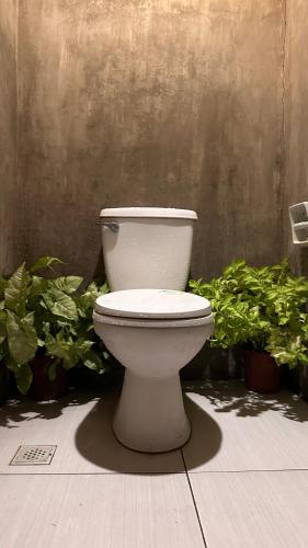 a white toilet sitting in front of some plants at Lionfish Backpackers Hostel Malapascua in Daanbantayan