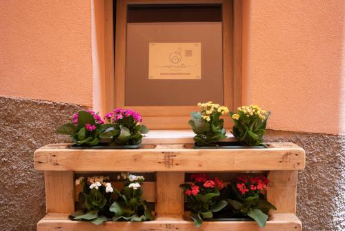 a window with four potted flowers on it at Casa Mirto in Bosa