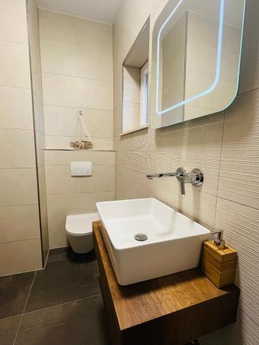 a bathroom with a white sink and a toilet at Villa Luisa Pucisca - 2 Häuser, 6 Schlafzimmer Insel Brac - Pool, Grill, Kamin, Tischtennis, Boccia in Pučišća