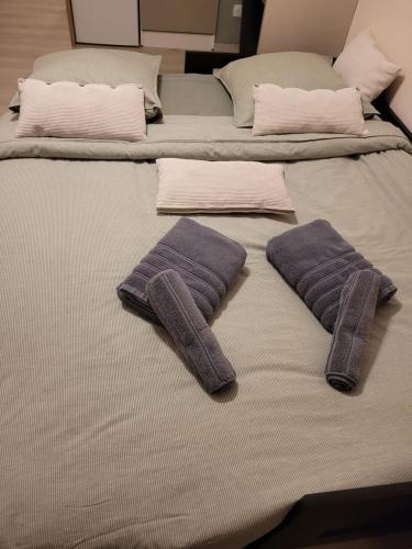 twee paarse kussens op een bed in een kamer bij Beau studio dans le Vieux-Lille in Lille