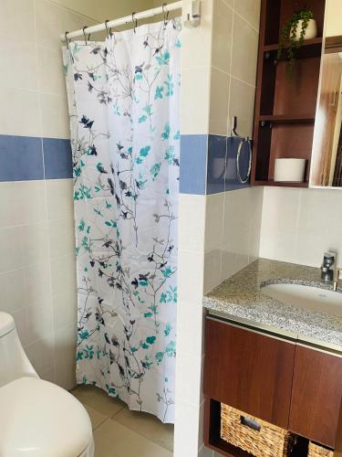 La salle de bains est pourvue d'un rideau de douche et de toilettes. dans l'établissement Cozy apartment close to city center, à Santa Cruz de la Sierra
