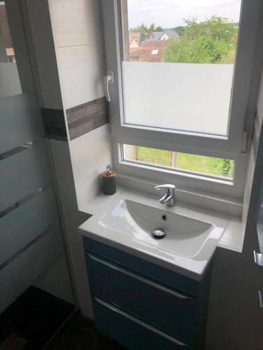 une salle de bain avec un lavabo et une fenêtre dans l'établissement Gîte le long rocher, à Veneux-les-Sablons