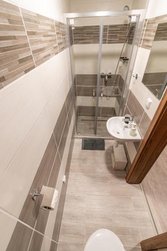 a bathroom with a shower and a toilet and a sink at Búda u Kramářů - penzion Robin in Mutěnice