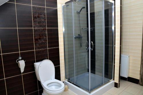 La salle de bains est pourvue de toilettes et d'une douche en verre. dans l'établissement Gościniec Zapiecek, à Stronie Śląskie