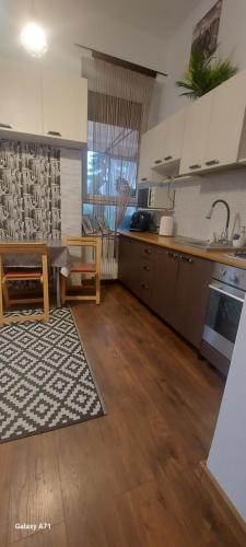 a kitchen with a table and a sink and a stove at Garden in Satu Mare