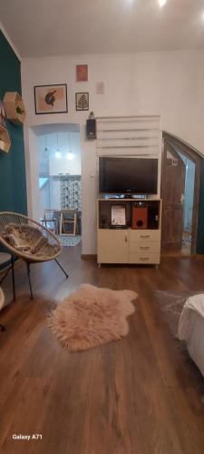 a living room with a large television and a rug at Garden in Satu Mare