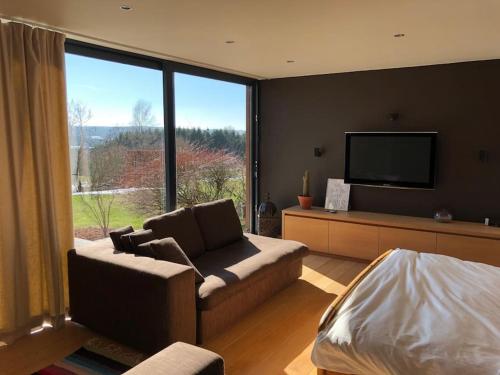 un salon avec un canapé et une télévision à écran plat dans l'établissement L'annexe, à Stavelot