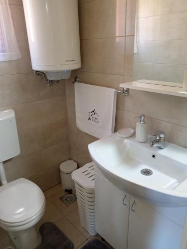 a bathroom with a white sink and a toilet at Dobar Pogled 2 in Kamenjača